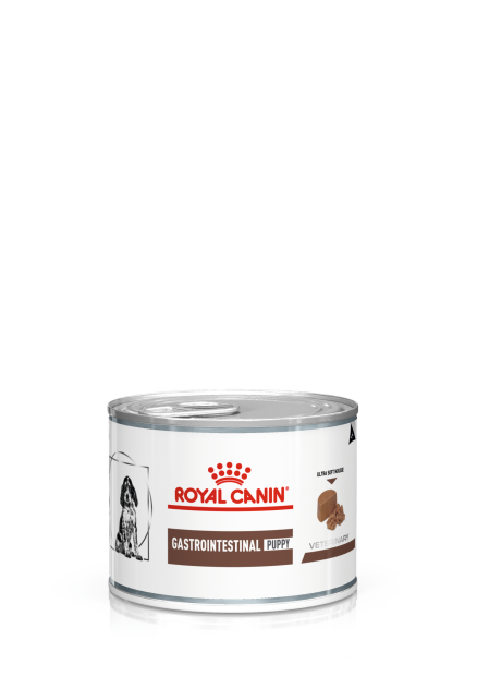 Gastrointestinal Puppy