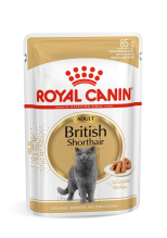Royal Canin British Shorthair