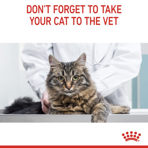 Royal Canin Light Weight Care Royal Canin Light Weight Care