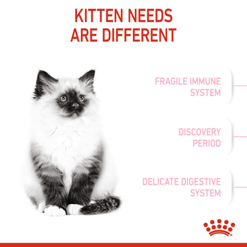 Royal Canin Kitten Royal Canin Kitten