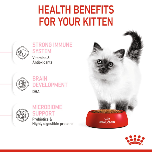 Royal Canin Kitten Royal Canin Kitten