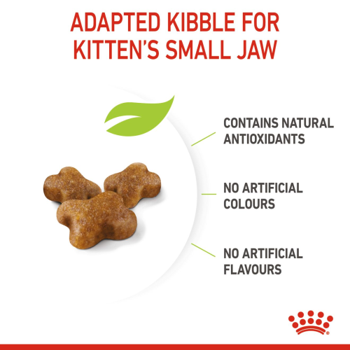 Royal Canin Kitten Royal Canin Kitten