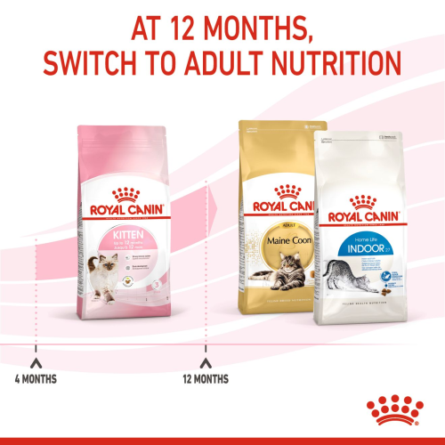 Royal Canin Kitten Royal Canin Kitten