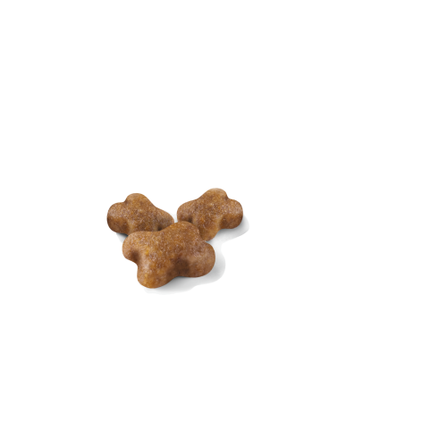 Royal Canin Kitten Royal Canin Kitten