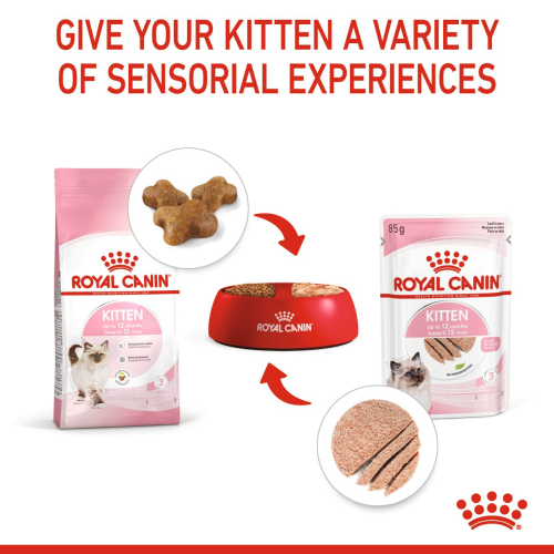 Royal Canin Kitten Loaf in sauce Royal Canin Kitten Loaf in sauce