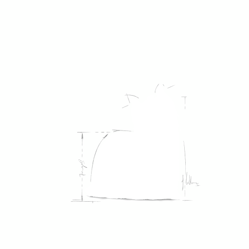 Yorkshire Terrier Adult