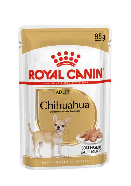 Chihuahua