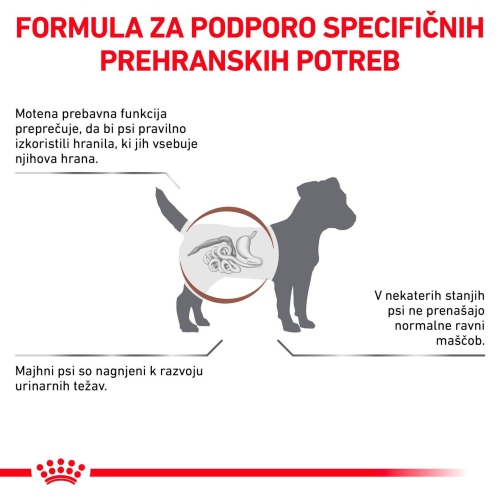 GASTROINTESTINAL LOW FAT SMALL DOG