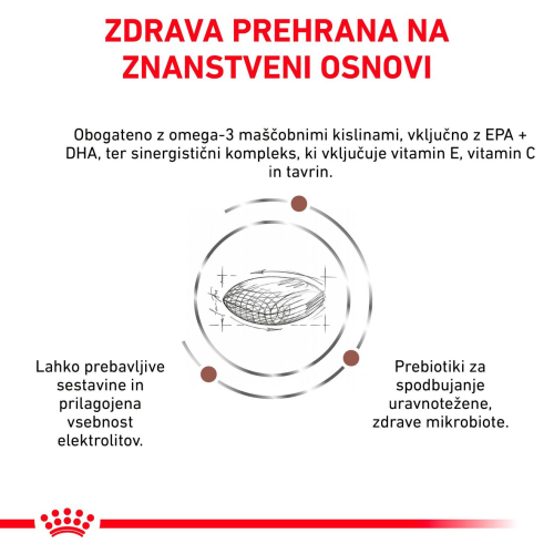 GASTROINTESTINAL LOW FAT SMALL DOG