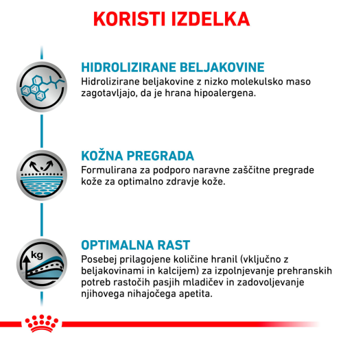 HYPOALLERGENIC PUPPY