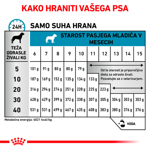 HYPOALLERGENIC PUPPY