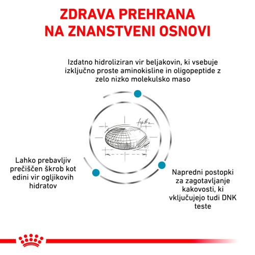 ANALLERGENIC SMALL DOG