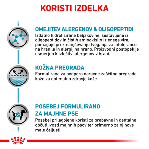 ANALLERGENIC SMALL DOG