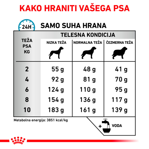 ANALLERGENIC SMALL DOG