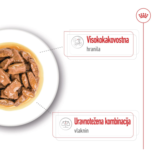 MAXI ADULT - CHUNKS IN GRAVY