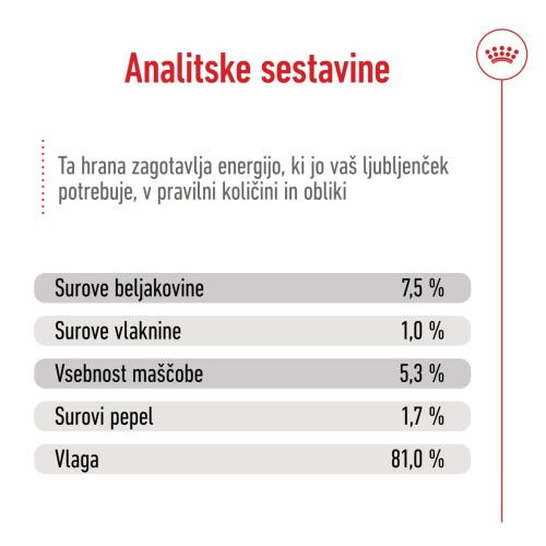 MAXI ADULT - CHUNKS IN GRAVY