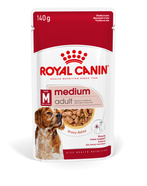 MEDIUM ADULT - CHUNKS IN GRAVY