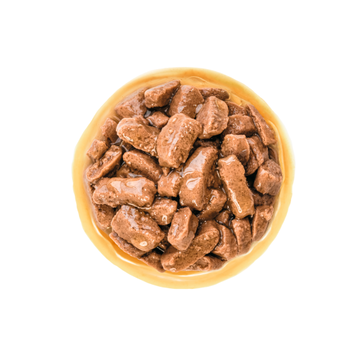 MEDIUM ADULT - CHUNKS IN GRAVY