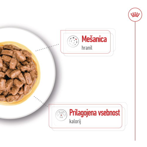 MINI AGEING - CHUNKS IN GRAVY