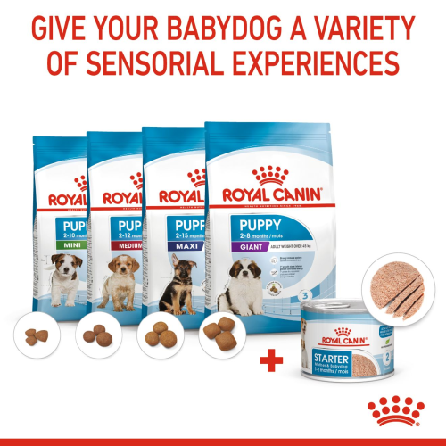 STARTER Mother & Babydog – Ultra soft mousse