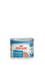 STARTER Mother & Babydog – Ultra soft mousse