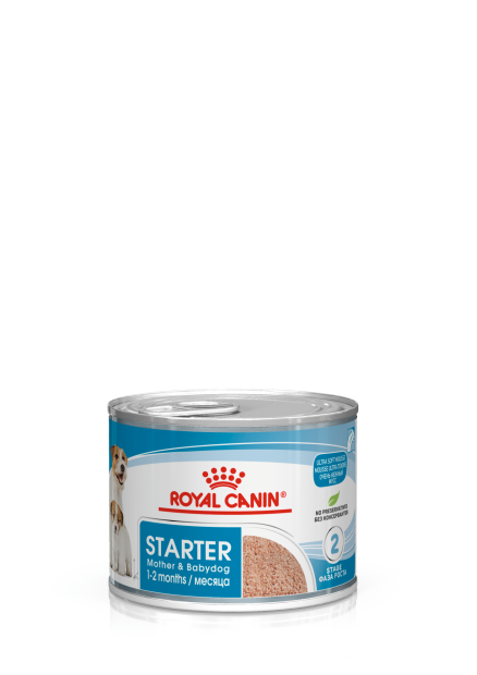 STARTER Mother & Babydog – Ultra soft mousse
