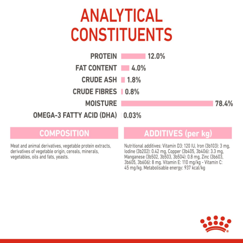 KITTEN Loaf in sauce