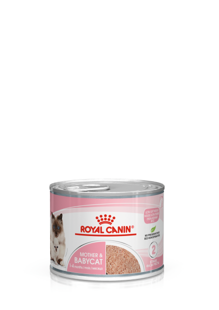 MOTHER & BABYCAT Ultra soft mousse