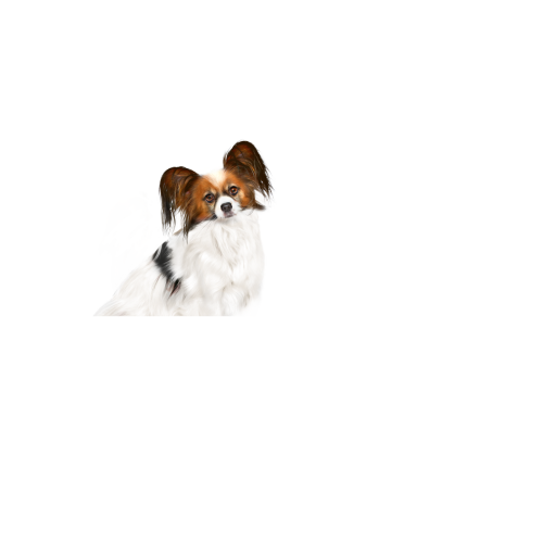 X-SMALL ADULT - MORSELS IN GRAVY