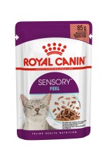 SENSORY™ FEEL Morsels in gravy