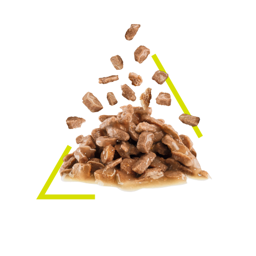 SENSORY™ SMELL Chunks in gravy