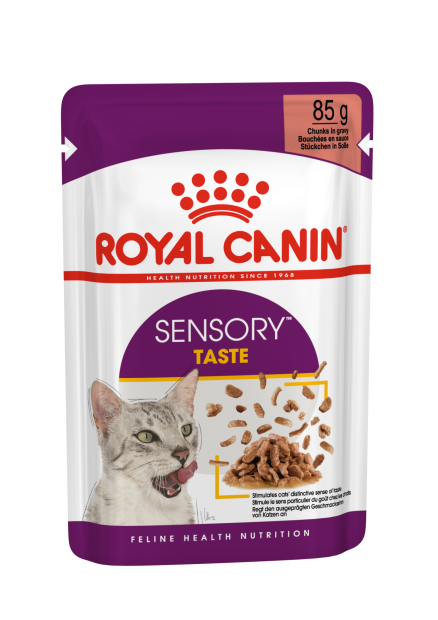 SENSORY™ TASTE Chunks in gravy