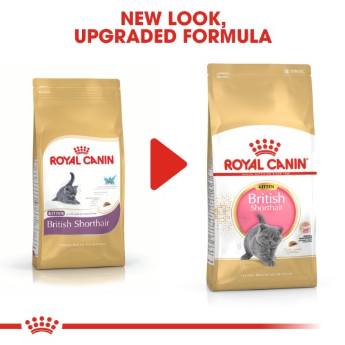 Royal Canin British Shorthair Kitten Royal Canin British Shorthair Kitten