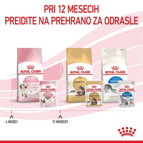 Royal Canin Kitten Loaf in sauce Royal Canin Kitten Loaf in sauce