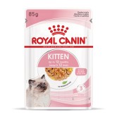 Royal Canin Kitten in jelly
