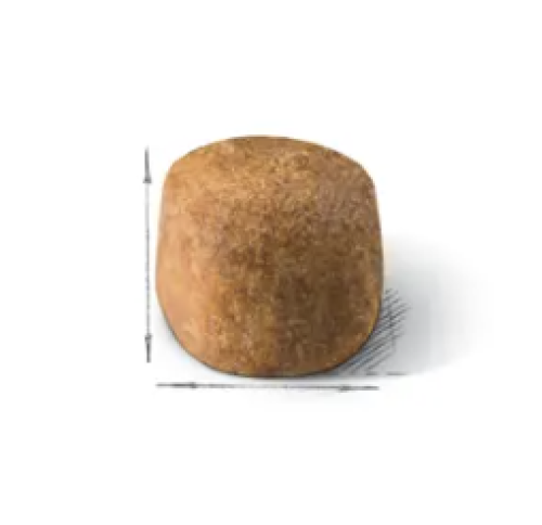 Royal Canin Maine Coon Adult