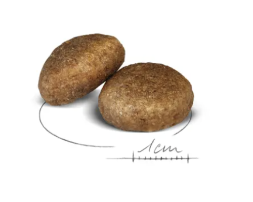 Royal Canin Maxi ADULT