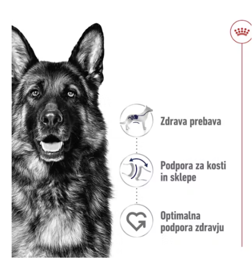 Royal Canin Maxi ADULT