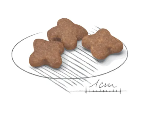 Royal Canin Mini Adult 8+