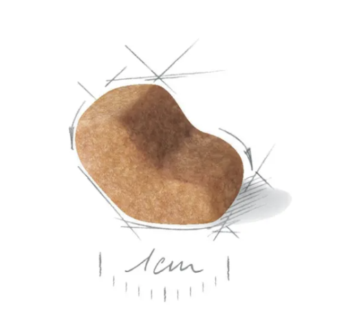 Royal Canin Shih Tzu Adult